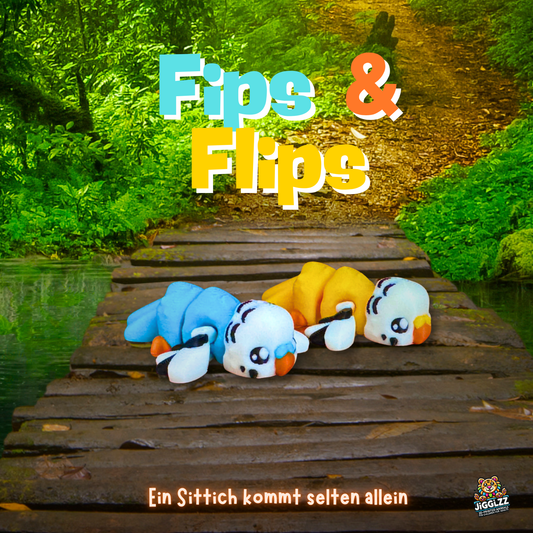 🐦💙💛 Fips & Flips – Das Freundschafts-Duo-„Ein Sittich kommt selten allein“