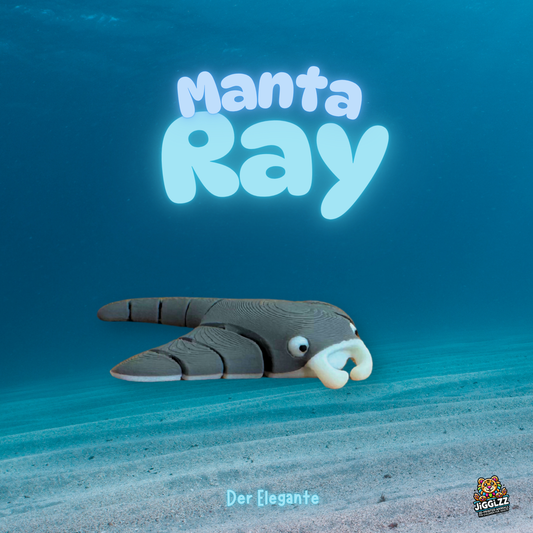 Manta Ray – Der Elegante🌊