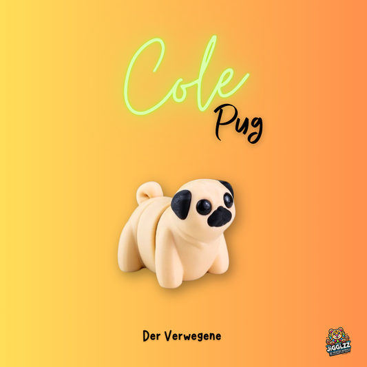 🐶Cole Pug - der Verwegene 🐶🔥✨