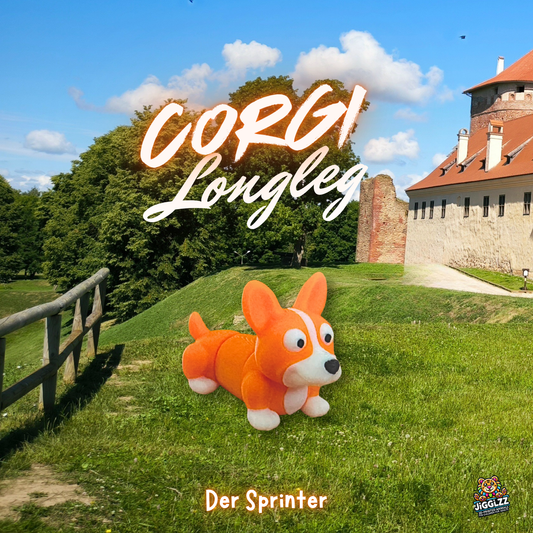🚀🐾Corgi Longleg – Der Sprinter – ist die Blitzrakete im Jigglizz Wunderland! 🚀🐾
