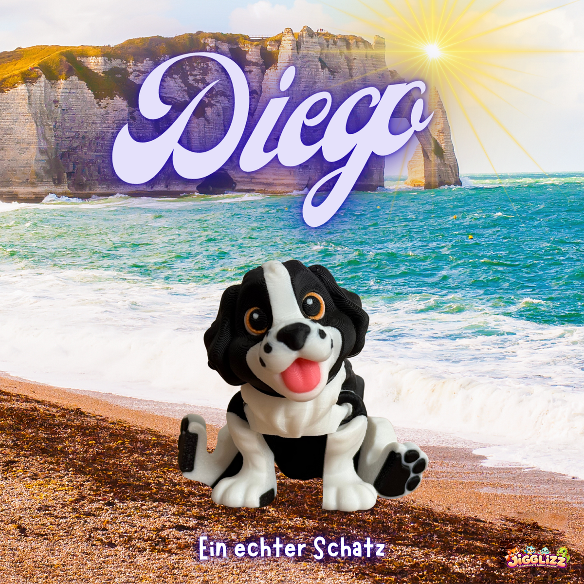 🐶 Diego – Ein echter Schatz 🌊