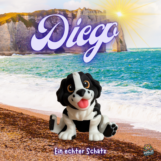 🐶 Diego – Ein echter Schatz 🌊