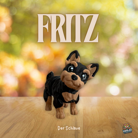 🧠 Fritz – Der Schlaue