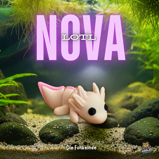 🩷 Nova Lotl – Die Funkelnde 🩷