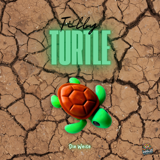 🐢 TILLY TURTLE – Die Weise